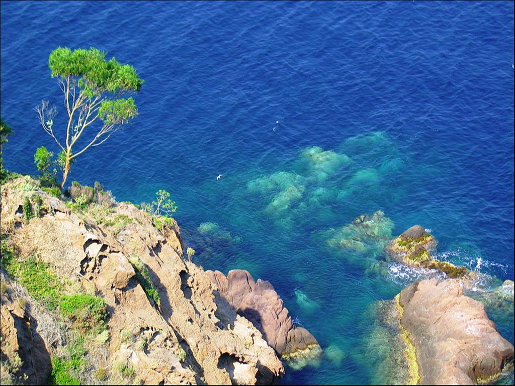 Vacanceole - Les Calanques Du Parc Fréjus Eksteriør billede